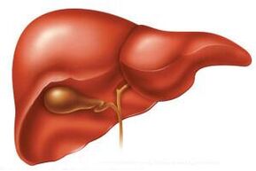 In the acute stage of helminthosis, the liver can be enlarged