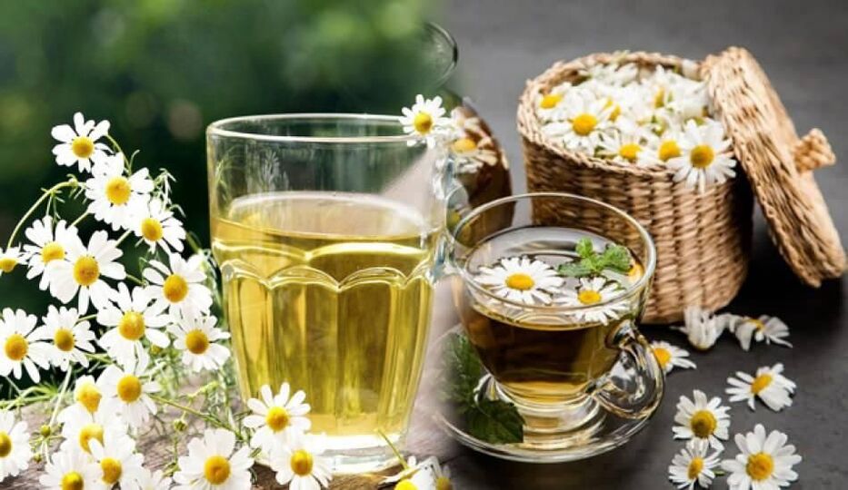 Chamomile decoction for parasites