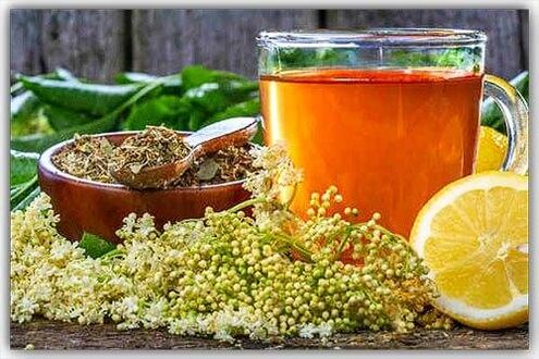 Herbal teas against parasites